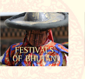 Festival of Bhutan